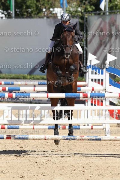 D ANTONI_D ACORADO_ECC_2011_SS3_5143.jpg